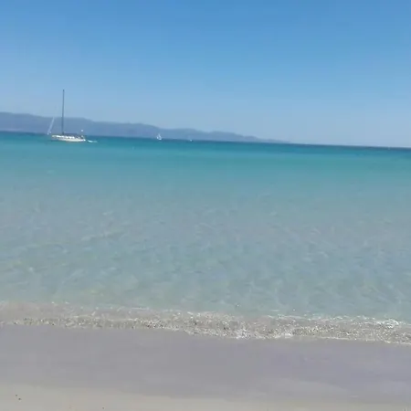 Ibiscus Κάλιαρι