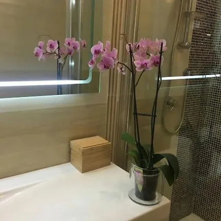 Ibiscus カリアリ