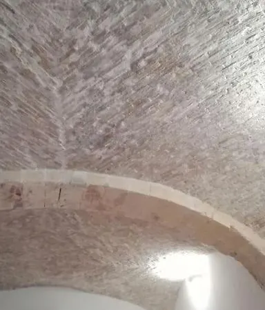 Ibiscus カリアリ